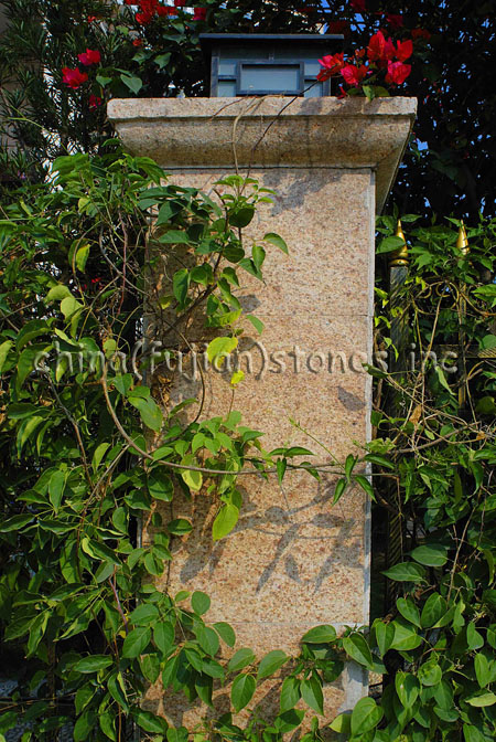 coping stones, pool coping stone